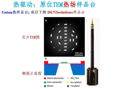 納米材料與器件中熱電效應(yīng)與應(yīng)力驅(qū)動的電子顯微鏡研究及其在電子產(chǎn)品及元器件研發(fā)中的應(yīng)用